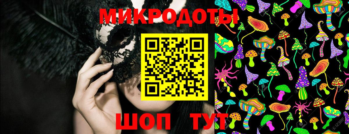 Псилоцибиновые грибы Psilocybe Сухой Лог
