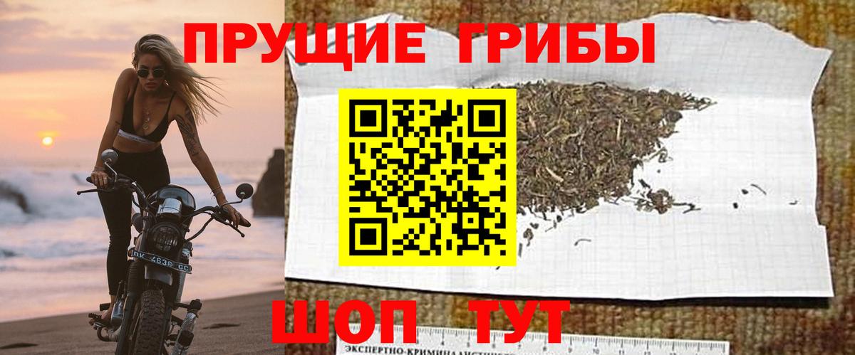 Псилоцибиновые грибы мицелий  Вход с VPN  Сухой Лог  Галлюциногенные грибы Psilocybine cubensis 